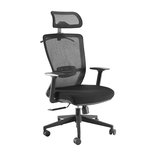  Ergonomic Mesh Office Chair with Headrest (64x45x110~120cm) Up to 150kg - Mesh Fabric  