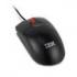 <b>Wired Mouse:</b> OPTICAL - USB <b>Wired Mouse:</b> OPTICAL - USB