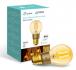Kasa Filament Smart Bulb, Warm Amber, Edison Screw Fitt E27 Socket, Dimmable, No Hub Required,Voice Control, 2000K, 5kWh/1000h, 2.4 GHz Kasa Filament Smart Bulb, Warm Amber, Edison Screw Fitt E27 Socket, Dimmable, No Hub Required,Voice Control, 2000K, 5kWh/1000h, 2.4 GHz