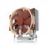 NH-U14S TR4-SP3 CPU Cooler NH-U14S TR4-SP3 CPU Cooler