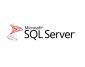 Microsoft SQL CAL 2017 SNGL OLP 1 License No-Level USRCAL Microsoft SQL CAL 2017 SNGL OLP 1 License No-Level USRCAL