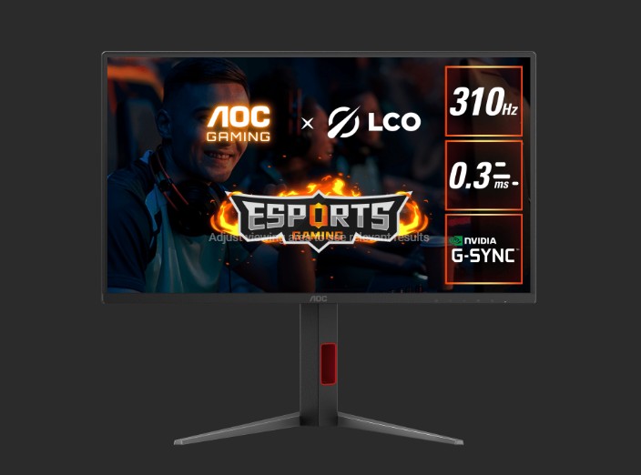  24.5" Fast IPS,1920 × 1080 FHD, 310Hz, 0.3ms, HDR400, HAS Stand, G-sync Compatible Gaming Monitor  