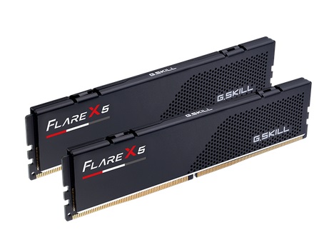  Dual Channel: 32GB (2x16GB) DDR5 5600MT/s CL36 Flare X5 - Optimised for AMD Ryzen Desktop Memory  