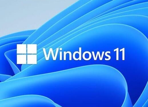  Windows 11 Pro - OEM<br>64-Bit, Software Provided On DVD Media  